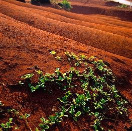 《City 20》上架Steam年内抢测 沙盒都市生存经营
